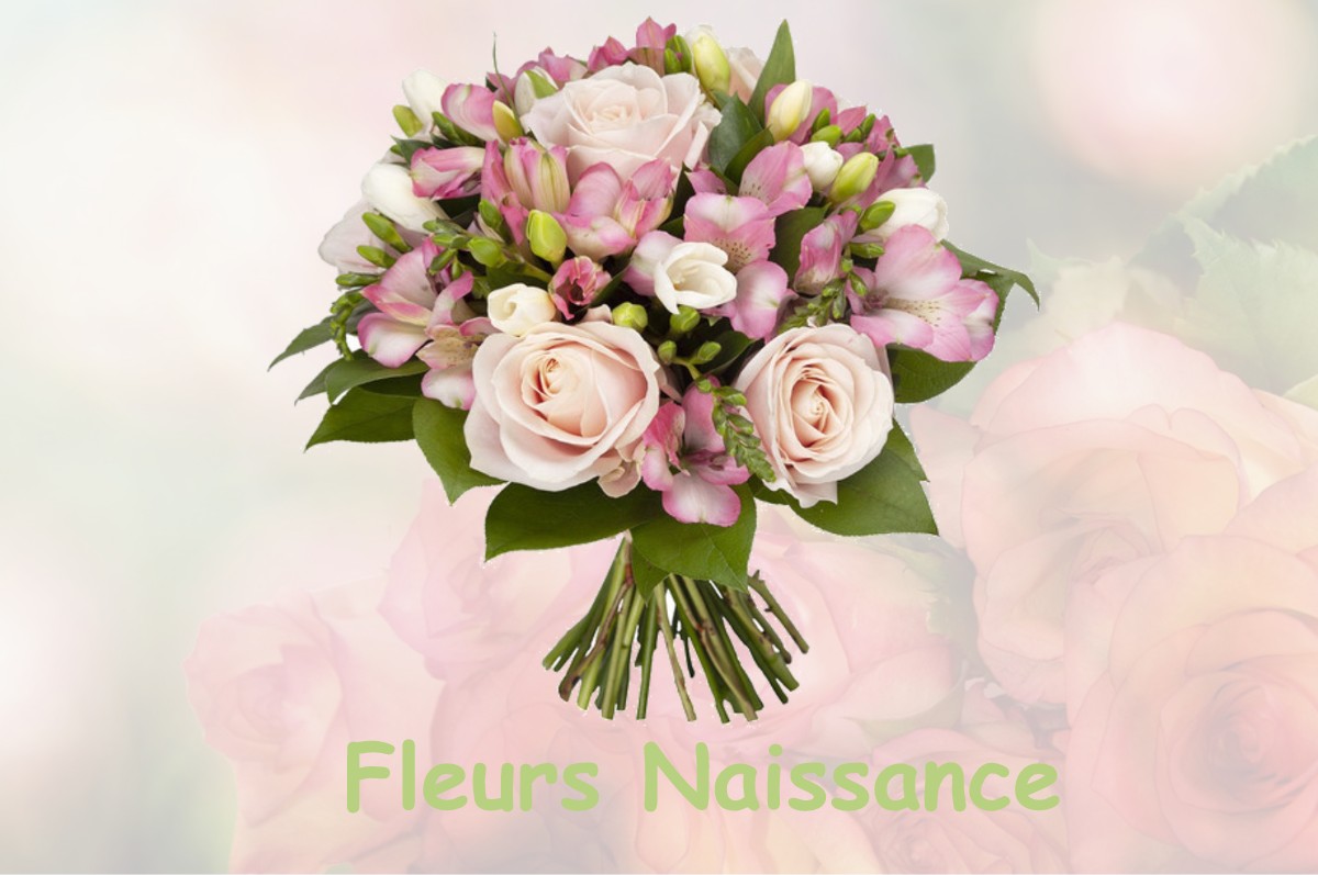fleurs naissance OULCHES-LA-VALLEE-FOULON