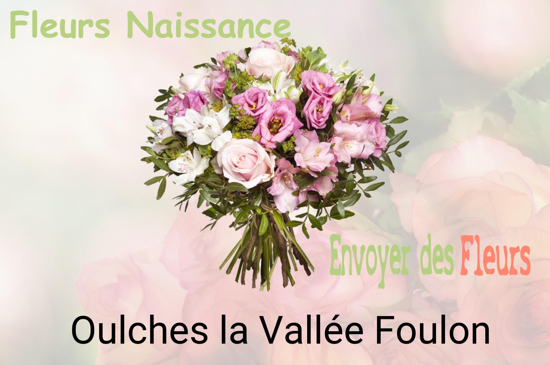 Bouquet de fleurs de naissance livré à Oulches-la-Vallée-Foulon